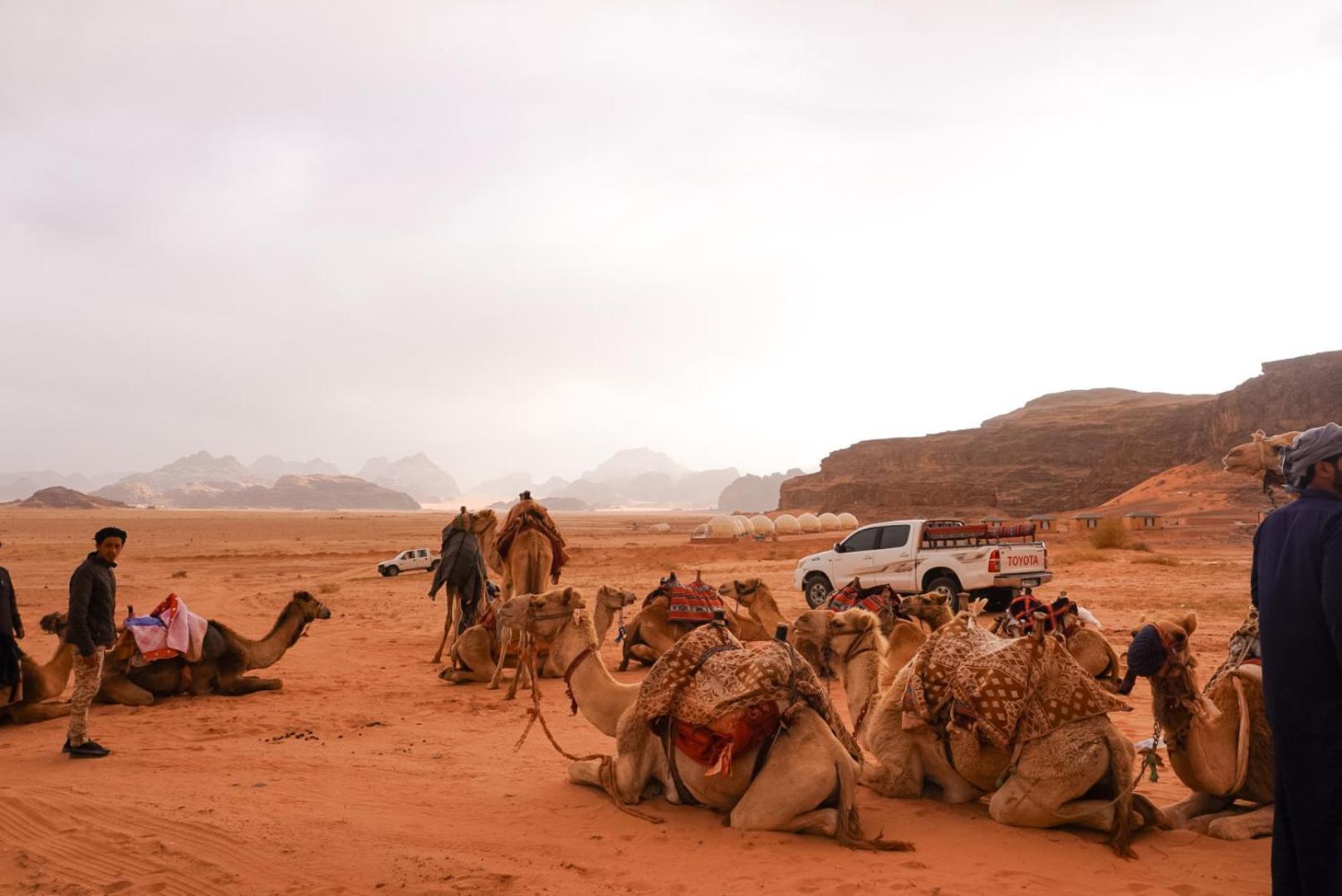 Shaheen Camp Wadi Rum Exterior foto
